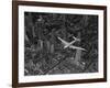 Aerial View of a DC-4 Passenger Plane Flying over Midtown Manhattan-Margaret Bourke-White-Framed Photographic Print