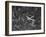 Aerial View of a Dc-4 Passenger Plane in Flight over Manhattan-Margaret Bourke-White-Framed Photographic Print