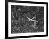 Aerial View of a Dc-4 Passenger Plane in Flight over Manhattan-Margaret Bourke-White-Framed Photographic Print