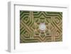 Aerial View of a Hedge Maze-Javier Rosano-Framed Photographic Print