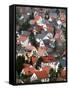 Aerial View of a Houses in Neumarkt in Der Oberpfalz, Germany-null-Framed Stretched Canvas