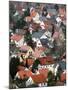 Aerial View of a Houses in Neumarkt in Der Oberpfalz, Germany-null-Mounted Photo