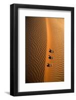 Aerial view of a line of camels casting shadows while walking in the Arabian Desert near the city o-Miva Stock-Framed Photographic Print