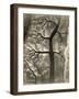 Aerial View of a Mud Flat at Low Tide, Canada, 15th April 1944-null-Framed Photographic Print