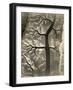 Aerial View of a Mud Flat at Low Tide, Canada, 15th April 1944-null-Framed Photographic Print