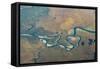 Aerial View of a River in Katmai National Park-Robert Haasmann-Framed Stretched Canvas