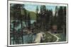 Aerial View of a Typical Summer Home on the Lake - Coeur d'Alene, ID-Lantern Press-Mounted Art Print