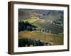 Aerial View of a Vineyard in the Willamette Valley, Oregon, USA-Janis Miglavs-Framed Photographic Print