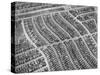 Aerial View of Acres of New Homes, Creating Compact Rows in Suburban Area Called Westchester-Loomis Dean-Stretched Canvas