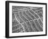 Aerial View of Acres of New Homes, Creating Compact Rows in Suburban Area Called Westchester-Loomis Dean-Framed Photographic Print