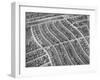 Aerial View of Acres of New Homes, Creating Compact Rows in Suburban Area Called Westchester-Loomis Dean-Framed Photographic Print