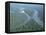 Aerial View of Amazon River and Jungle, Brazil-null-Framed Stretched Canvas