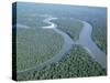 Aerial View of Amazon River and Jungle, Brazil-null-Stretched Canvas
