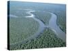 Aerial View of Amazon River and Jungle, Brazil-null-Stretched Canvas