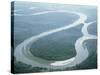 Aerial View of Amazon River and Jungle, Brazil-null-Stretched Canvas