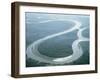 Aerial View of Amazon River and Jungle, Brazil-null-Framed Premium Photographic Print