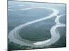 Aerial View of Amazon River and Jungle, Brazil-null-Mounted Premium Photographic Print