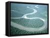 Aerial View of Amazon River and Jungle, Brazil-null-Framed Stretched Canvas