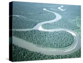 Aerial View of Amazon River and Jungle, Brazil-null-Stretched Canvas