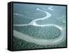 Aerial View of Amazon River and Jungle, Brazil-null-Framed Stretched Canvas