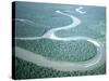 Aerial View of Amazon River and Jungle, Brazil-null-Stretched Canvas