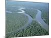 Aerial View of Amazon River and Jungle, Brazil-null-Mounted Photographic Print