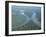 Aerial View of Amazon River and Jungle, Brazil-null-Framed Photographic Print