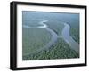 Aerial View of Amazon River and Jungle, Brazil-null-Framed Photographic Print