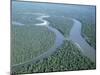 Aerial View of Amazon River and Jungle, Brazil-null-Mounted Photographic Print