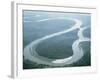 Aerial View of Amazon River and Jungle, Brazil-null-Framed Photographic Print