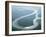 Aerial View of Amazon River and Jungle, Brazil-null-Framed Photographic Print