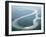 Aerial View of Amazon River and Jungle, Brazil-null-Framed Photographic Print