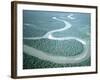 Aerial View of Amazon River and Jungle, Brazil-null-Framed Photographic Print