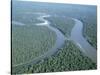 Aerial View of Amazon River and Jungle, Brazil-null-Stretched Canvas