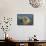 Aerial View of an Island and Lighthouse near Acadia National Park, Maine-Joseph Sohm-Framed Stretched Canvas displayed on a wall