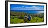 Aerial view of an observatory, Yerkes Observatory, Williams Bay, Wisconsin, USA-null-Framed Photographic Print