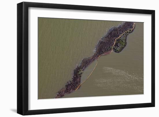 Aerial View of an Oil Covered Island and Displaced Oil Containment Boom-Gerrit Vyn-Framed Photographic Print