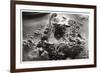 Aerial View of Archaeological Excavations Near Saqqara, Egypt, 1931-null-Framed Giclee Print