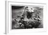 Aerial View of Archaeological Excavations Near Saqqara, Egypt, 1931-null-Framed Giclee Print