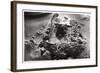 Aerial View of Archaeological Excavations Near Saqqara, Egypt, 1931-null-Framed Giclee Print