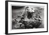 Aerial View of Archaeological Excavations Near Saqqara, Egypt, 1931-null-Framed Giclee Print