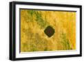 Black Frame