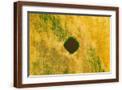 Brown Frame