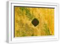 White Frame