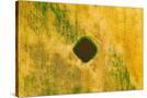 Stretched Canvas