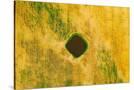 Stretched Canvas