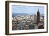 Aerial View of Atlanta, Georgia-bren64-Framed Photographic Print