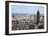 Aerial View of Atlanta, Georgia-bren64-Framed Photographic Print