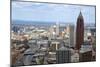 Aerial View of Atlanta, Georgia-bren64-Mounted Photographic Print