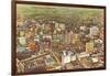 Aerial View of Atlanta, Georgia-null-Framed Art Print